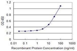 Detection limit for recombinant GST tagged NID2 is 1 ng/ml as a capture antibody. (NID2 antibody  (AA 1276-1375))