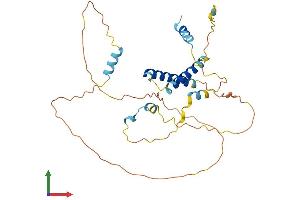 AlphaFold protein structure predicition of Mouse Recombinant Sertad2 Protein, UniprotID Q9JJG5 (SERTAD2 Protein (AA 1-309) (His tag))