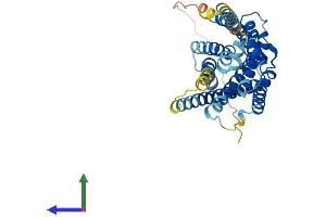 AlphaFold protein structure predicition of Human Recombinant GPR87 Protein, UniprotID Q9BY21