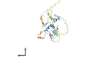 AlphaFold protein structure predicition of Human Recombinant ZNF524 Protein, UniprotID Q96C55