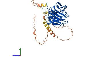 Protein Structure (PS) image for SplA/ryanodine Receptor Domain and SOCS Box Containing 3 (SPSB3) (AA 1-355) protein (His tag) (ABIN7546349)