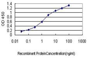 Detection limit for recombinant GST tagged AKT3 is approximately 0. (AKT3 antibody  (AA 100-189))