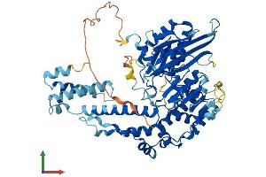 AlphaFold protein structure predicition of Mouse Recombinant Dennd6a Protein, UniprotID Q8BH65 (FAM116A Protein (AA 1-605) (His tag))