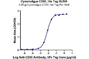 ELISA image for Tumor Necrosis Factor Receptor Superfamily, Member 8 (TNFRSF8) (AA 27-394) protein (His tag) (ABIN7274125)