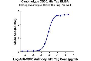Immobilized Cynomolgus CD30, His Tag at 0. (TNFRSF8 Protein (AA 27-394) (His tag))