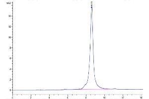 Size-exclusion chromatography-High Pressure Liquid Chromatography (SEC-HPLC) image for High Mobility Group Box 1 (HMGB1) (AA 1-215) protein (His tag,Biotin) (ABIN7274823)