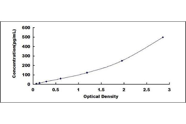 FGF4 ELISA Kit