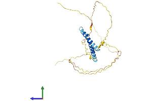 AlphaFold protein structure predicition of Human Recombinant FRG2B Protein, UniprotID Q96QU4 (FRG2B Protein (AA 1-278) (His tag))