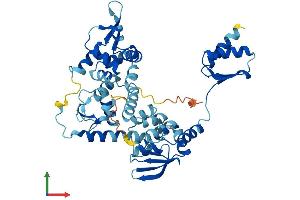 AlphaFold protein structure predicition of Mouse Recombinant Gtf2h4 Protein, UniprotID O70422