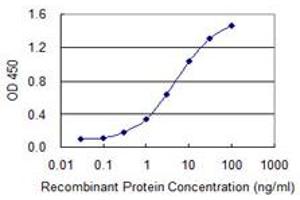 Detection limit for recombinant GST tagged ZNRD1 is 0. (ZNRD1 antibody  (AA 24-126))