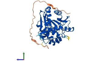 AlphaFold protein structure predicition of Mouse Recombinant Abhd11 Protein, UniprotID Q8K4F5 (ABHD11 Protein (AA 1-307) (His tag))