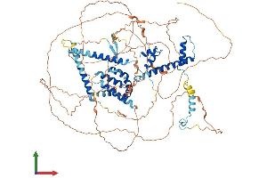 AlphaFold protein structure predicition of Human Recombinant TAF4B Protein, UniprotID Q92750 (TAF4B Protein (AA 1-862) (His tag))