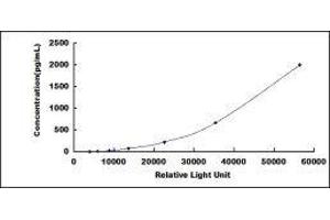 Interleukin-27 subunit beta (IL-27b) CLIA Kit