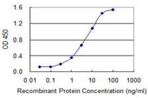 Detection limit for recombinant GST tagged GLRX2 is 0. (Glutaredoxin 2 antibody  (AA 1-124))