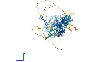 Protein Structure (PS) image for Eukaryotic Translation Initiation Factor 3 Subunit C (EIF3C) (AA 1-913) protein (His tag) (ABIN7553763)