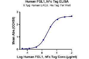 Immobilized Human LAG3, His Tag at 1 μg/mL (100 μL/Well) on the plate. (FGL1 Protein (AA 64-305) (Fc Tag))