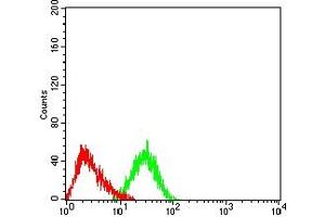 Flow cytometric analysis of HL-60 cells using CD248 mouse mAb (green) and negative control (red). (CD248 antibody  (AA 18-180))