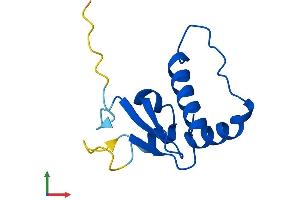 AlphaFold protein structure predicition of Mouse Recombinant Eloc Protein, UniprotID P83940 (TCEB1 Protein (AA 1-112) (His tag))