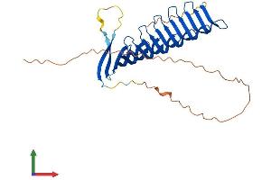 Protein Structure (PS) image for Radial Spoke Head 1 Homolog (RSPH1) (AA 1-301) protein (His tag) (ABIN7559957)