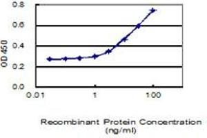 Detection limit for recombinant GST tagged LRRC34 is 1 ng/ml as a capture antibody. (LRRC34 antibody  (AA 1-419))