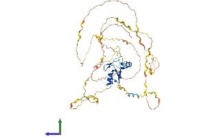 AlphaFold protein structure predicition of Mouse Recombinant Cbll1 Protein, UniprotID Q9JIY2
