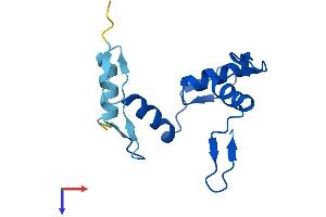 AlphaFold protein structure predicition of Human Recombinant ZNF702P Protein, UniprotID Q9H963