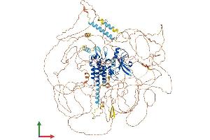 AlphaFold protein structure predicition of Human Recombinant LMTK2 Protein, UniprotID Q8IWU2 (LMTK2 Protein (AA 1-1503) (His tag))