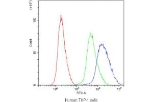 Flow cytometry testing of human THP-1 cells with APOBEC3G antibody at 1ug/10^6 cells (blocked with goat sera)
