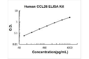 Chemokine (C-C Motif) Ligand 26 (CCL26) ELISA Kit