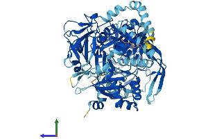 AlphaFold protein structure predicition of Human Recombinant ACSL4 Protein, UniprotID O60488 (ACSL4 Protein (AA 1-711) (His tag))