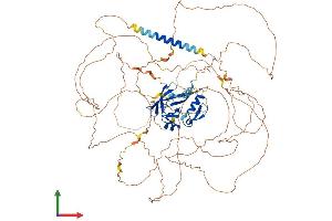 AlphaFold protein structure predicition of Human Recombinant ATXN1 Protein, UniprotID P54253