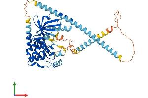 AlphaFold protein structure predicition of Mouse Recombinant Nek2 Protein, UniprotID O35942