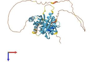 PCBP2 Protein (AA 1-365) (His tag)