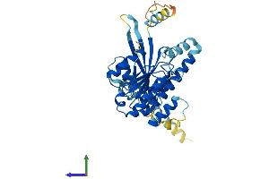 Protein Structure (PS) image for Dynein, Cytoplasmic 2, Light Intermediate Chain 1 (DYNC2LI1) (AA 1-351) protein (His tag) (ABIN7546972)