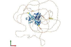 Protein Structure (PS) image for Inositol-Trisphosphate 3-Kinase B (ITPKB) (AA 1-946) protein (His tag) (ABIN7548582)