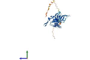 AlphaFold protein structure predicition of Human Recombinant KCNJ11 Protein, UniprotID Q14654 (KCNJ11 Protein (AA 1-390) (His tag))