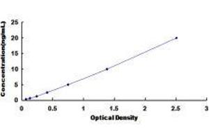ELISA image for Estrogen Receptor 1 (ESR1) ELISA Kit (ABIN415767)
