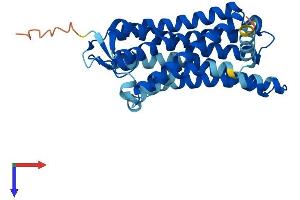 AlphaFold protein structure predicition of Human Recombinant OR2T5 Protein, UniprotID Q6IEZ7 (OR2T5 Protein (AA 1-315) (His tag))