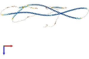 AlphaFold protein structure predicition of Human Recombinant GOLGA6D Protein, UniprotID P0CG33 (GOLGA6D Protein (AA 1-693) (His tag))