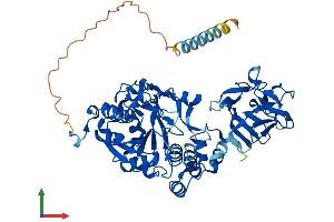 AlphaFold protein structure predicition of Mouse Recombinant Galnt2 Protein, UniprotID Q6PB93 (GALNT2 Protein (AA 1-570) (His tag))