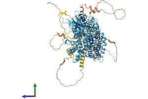 AlphaFold protein structure predicition of Mouse Recombinant Slc4a8 Protein, UniprotID Q8JZR6 (SLC4A8 Protein (AA 1-1089) (His tag))