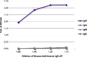 ELISA plate was coated with purified human IgD, IgG, IgM, and IgA. (Mouse anti-Human IgD (Heavy Chain) Antibody (Alkaline Phosphatase (AP)))