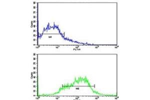 Flow cytometric analysis of HepG2 cells using EphA1 antibody (green) compared to a negative control (blue). (EPHA1 antibody  (AA 29-60))
