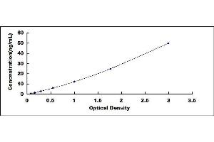 Typical standard curve (CYP1B1 ELISA Kit)