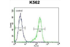 Flow Cytometry (FACS) image for anti-Ribosomal Protein S19 (RPS19) antibody (ABIN2996506) (RPS19 antibody)