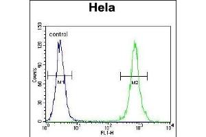 TRADD Antibody (Center) (ABIN655903 and ABIN2845303) flow cytometric analysis of Hela cells (right histogram) compared to a negative control cell (left histogram). (TRADD antibody  (AA 126-151))