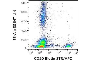Surface staining of human peripheral blood with anti-CD20 (2H7) biotin, streptavidin. (CD20 antibody  (Biotin))