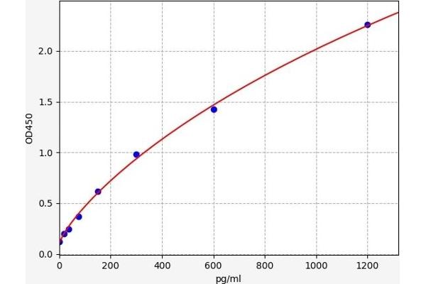 CHD5 ELISA Kit