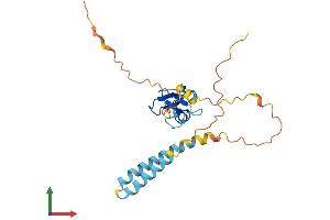 AlphaFold protein structure predicition of Mouse Recombinant Rnf186 Protein, UniprotID Q9D241