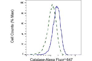 Flow cytometric analysis of Catalase expression in HepG2 cells using Catalase antibody (ABIN7797918), 1:2,000). (Recombinant Catalase antibody)